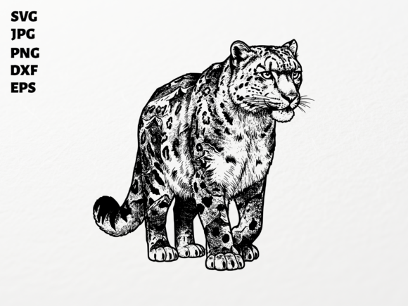 Review: Snow Leopard SVG for Cricut Sublimation in Graphics & Crafts
