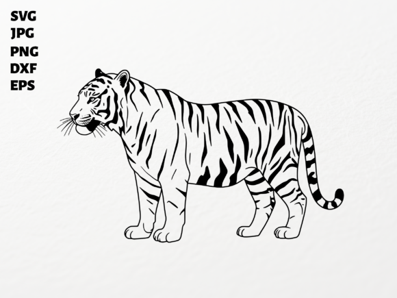 Tiger Clipart SVG for Cricut: A Bold Addition to Crafts and Graphics